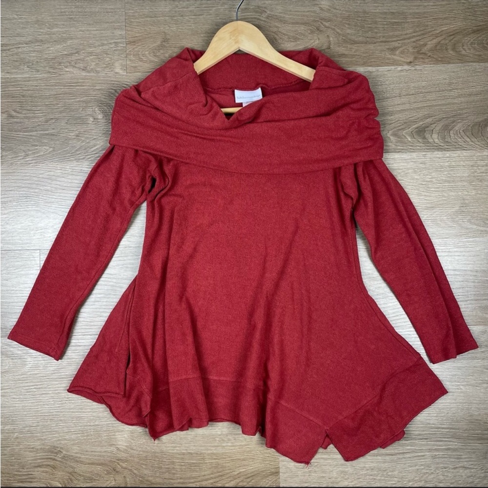 Soft Surroundings Ava Cawl Neck Long Sleeve Rust Tunic XS